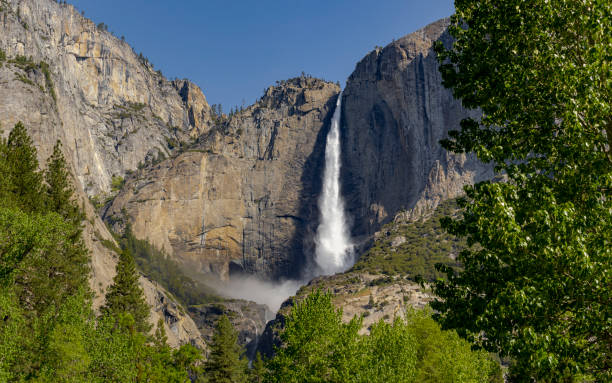 Yosemite Falls at Yosemite National Park Spring Runoff Tree Framed stock photo