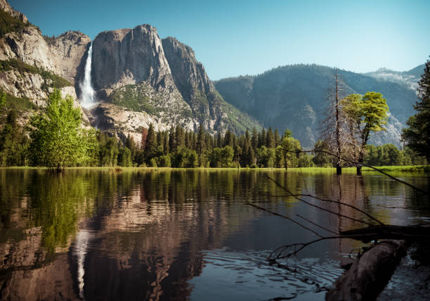 Yosemite Mornings stock photo