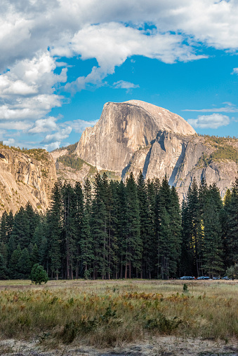 Yosemite Valley and the famous Half Dome in the background, USA