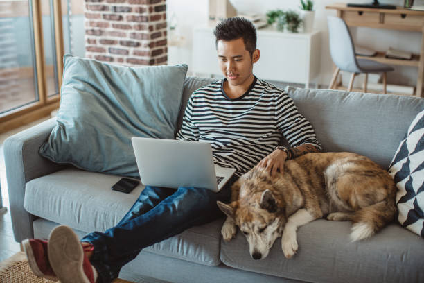 You need to continuously study if you want to succeed Young man sitting on sofa and reading something on laptop, he prepare for exams. He's pet dog is next to him student life stock pictures, royalty-free photos & images