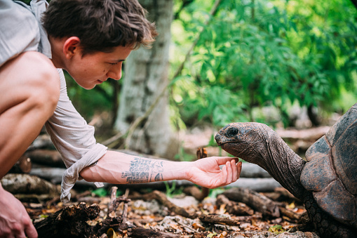 Side view of a young man caressing the giant turtle Aldabra between the leaves