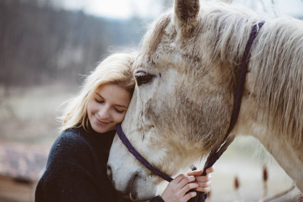 Young adult woman loves her white horse after ride stock photo