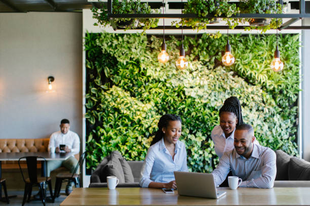 Young African Business People having a Meeting Young African business people having a meeting in a beautiful office. green building stock pictures, royalty-free photos & images