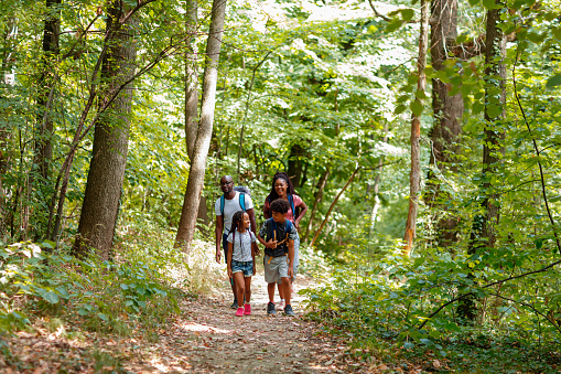 Young African family spends time together, hiking in the woods. They are walking over footpath, carrying backpacks and talking.
