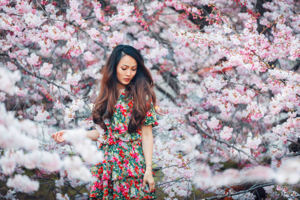 Young Asian woman, in a floral pattern dress, in front of blossoming cherry tree in the spring time stock photo