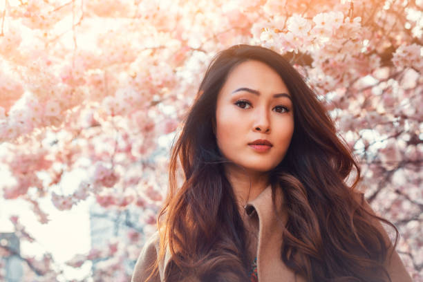 Young Asian woman, in front of blossoming cherry tree in the spring time stock photo