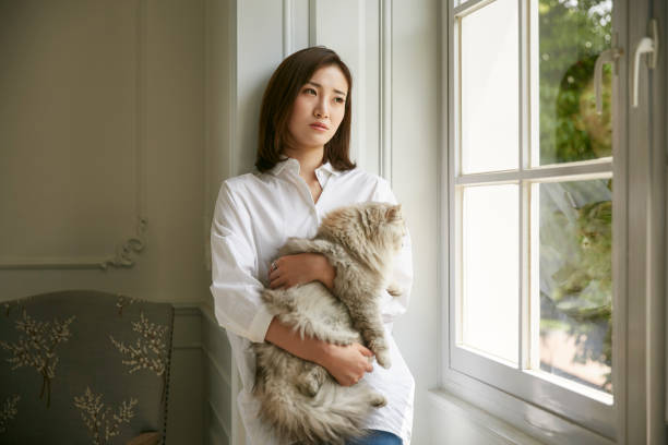 young asian woman standing by window holding a cat looking sad stock photo