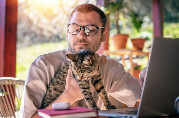 Young attractive man in glasses freelancer with a gray cat in his hands working at home using a laptop while sitting on the terrace of a country house on a summer day stock photo