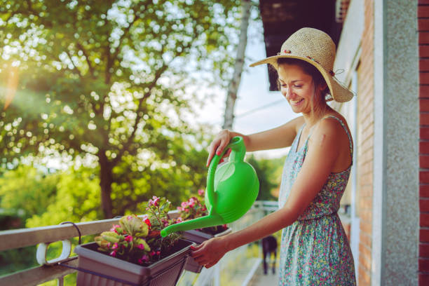 Young beautiful woman watering plants flowers on her balcony of the home house using bucket with water wearing summer dress and hat in the spring autumn evening day Young beautiful woman watering plants flowers on her balcony of the home house using bucket with water wearing summer dress and hat in the spring autumn evening day potted plant photos stock pictures, royalty-free photos & images