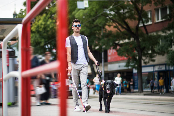 joven ciego con bastón blanco y perro guía caminando por el pavimento en la ciudad. - ceguera fotografías e imágenes de stock