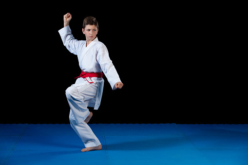 Details about   Kimonos for Karate teen with a belt Kids WKF white 