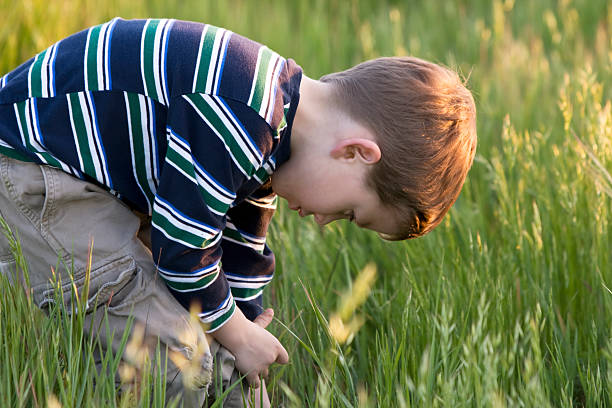 Young Boy Looking for Bugs in the grass stock photo