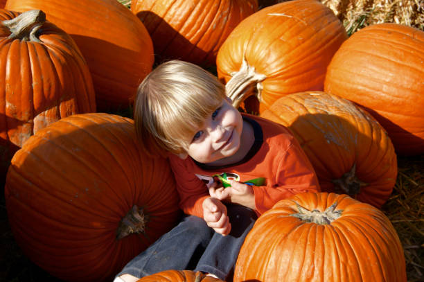 Young boy sitting in a pile of pumpkins stock photo