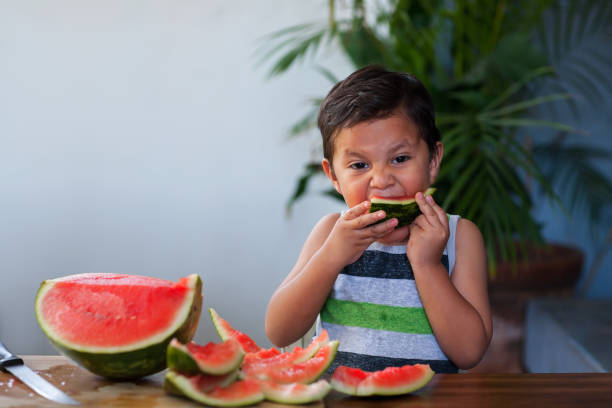 Young boy taking a bite from a slice of watermelon he holds to his mouth during summer. stock photo