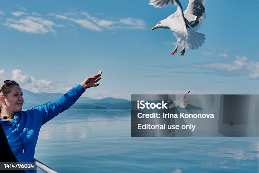 Young Caucasian smiling woman feeds bread to wild gulls on boat trip on Lake Baikal, Russia.