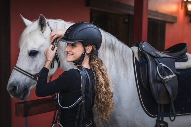 ung kaukasisk kvinna förbereder en vit häst för en åktur - clean saddle bildbanksfoton och bilder