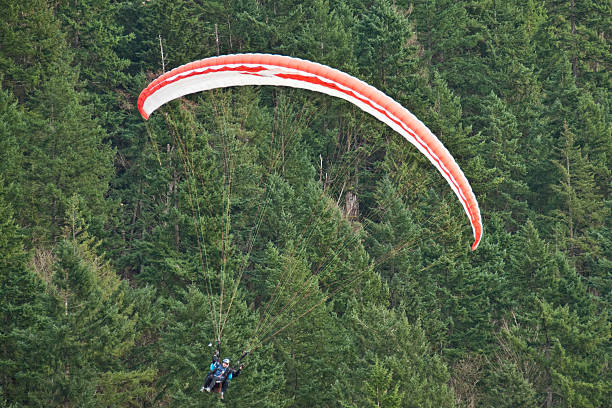 Tandem Paraglider Flying by the Trees Issaquah, Washington, USA - March 07, 2012: A young couple flies a tandem paraglider by a wooded hillside near the town of Issaquah. jeff goulden paragliding stock pictures, royalty-free photos & images