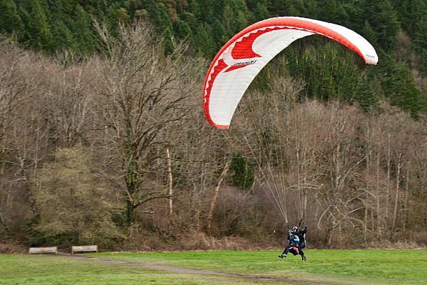 Tandem Paraglider Landing Issaquah, Washington, USA - March 07, 2012: A young couple lands a tandem paraglider in a field by a wooded hillside near the town of Issaquah. jeff goulden paragliding stock pictures, royalty-free photos & images