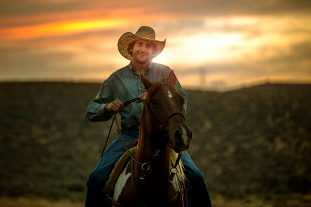 unge cowboy - cowboy horse bildbanksfoton och bilder