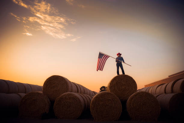 Young Cowgirl Stands On Top Of A Huge Pile Of Hay Bales At Sunset Holding The American Flag stock photo