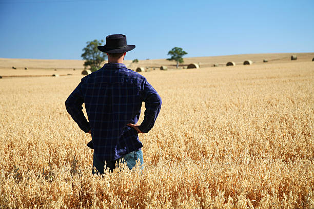 Young farmer on rural farmscape enjoying the scenery stock photo