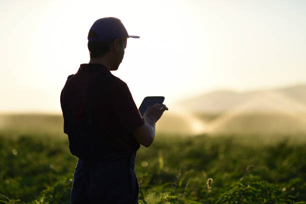 young farmer che utilizza un tablet digitale - software agricoltura irrigazione foto e immagini stock