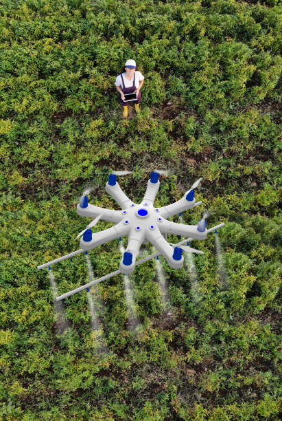 giovane contadina che spruzza i suoi raccolti usando un drone - software agricoltura irrigazione foto e immagini stock