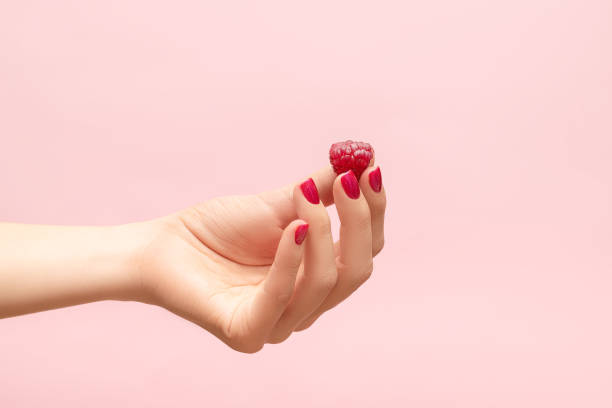 Young female hand hold red raspberry. Female hand with raspberry on pink background. Female hand with crimson manicure stock photo