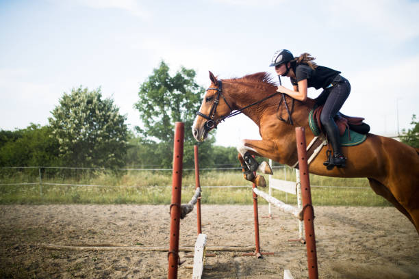 unga kvinnliga jockey på hästen hoppar över hindret - hinder häst bildbanksfoton och bilder
