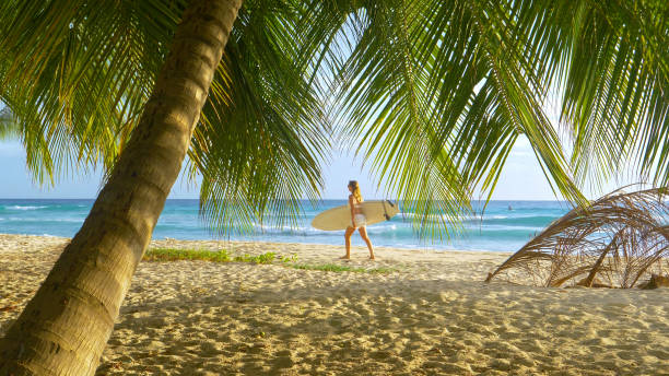 Young female tourist carries her surfboard along an idyllic tropical beach. stock photo