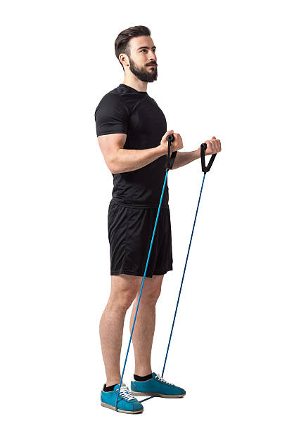 exercises for biceps without weights (using resistance band)