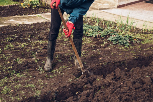 Young gardener in a blue jacket tilled his land. Soil preparation for next year. Improving the nutritional side of arable land. Agriculture life concept stock photo