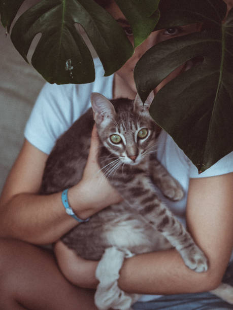 young girl holding her cat at home, covered by a monstera deliciosa. - plattegrond kind stockfoto's en -beelden