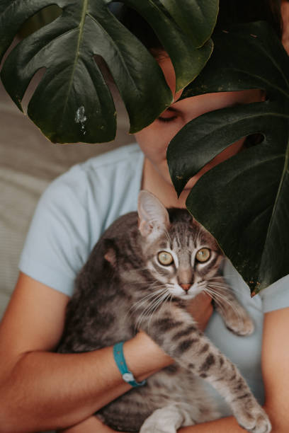 young girl holding her cat at home, covered by a monstera deliciosa - plattegrond kind stockfoto's en -beelden