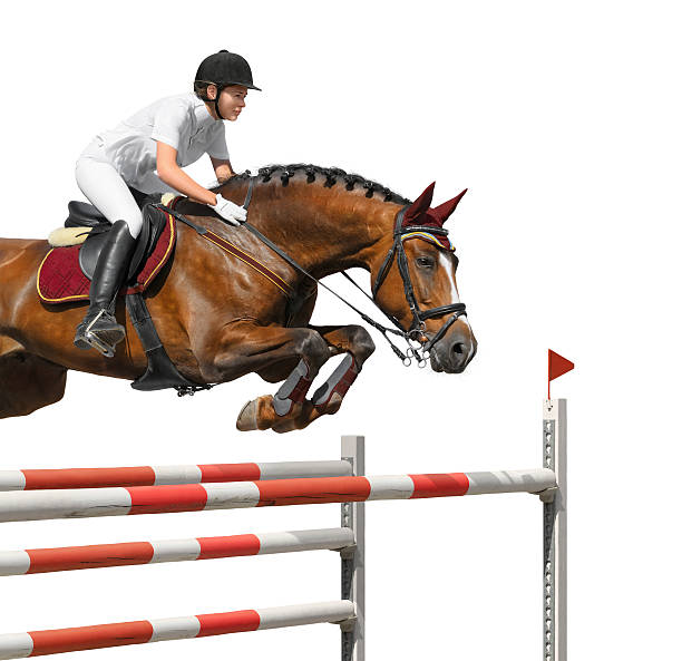 young girl jumping with bay horse - hinder häst bildbanksfoton och bilder