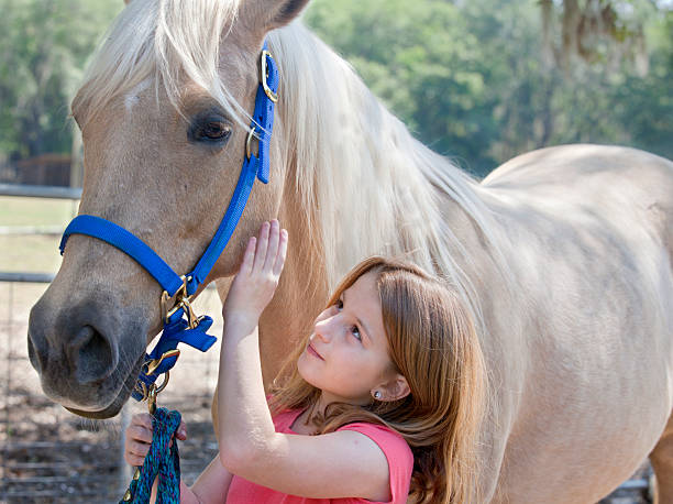 Young Girl with Horse stock photo