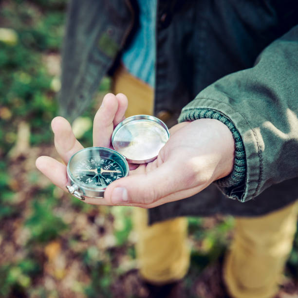Young hiker looking a compass in the woods stock photo