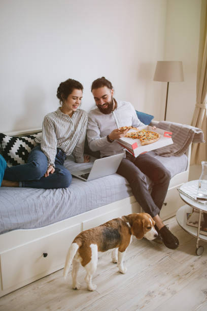Young hipster couple home eating pizza with laptop and dog stock photo