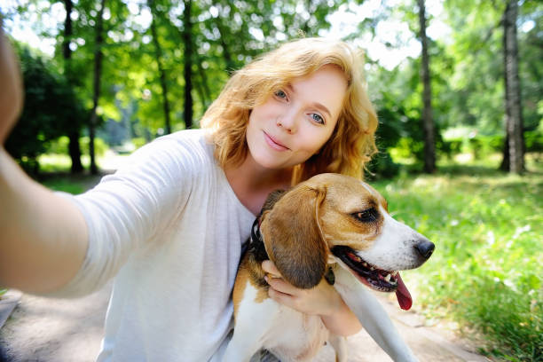 Young hipster woman making selfie photo with Beagle dog Young beautiful hipster woman making selfie photo with Beagle dog using her mobile phone tickling beautiful women pictures stock pictures, royalty-free photos & images
