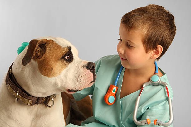 Young kid with vet attire and toy stethoscope petting a dog stock photo