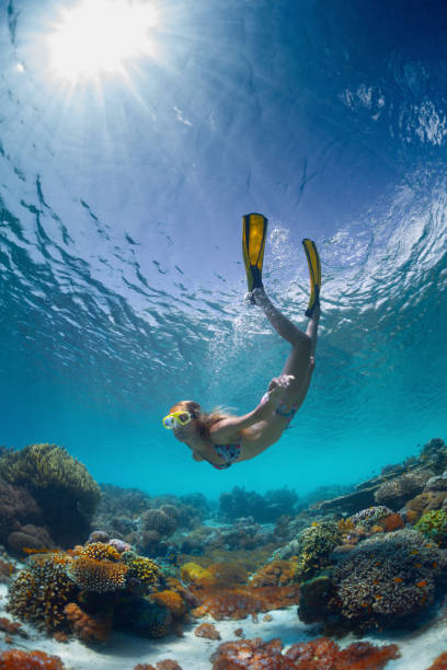 Young lady snorkeling Underwater shot of the young lady gliding over vivid coral reef on a breath hold woman snorkeling stock pictures, royalty-free photos & images