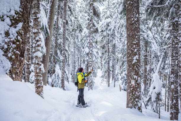 Young male taking photos of huge trees while snowshoing. stock photo