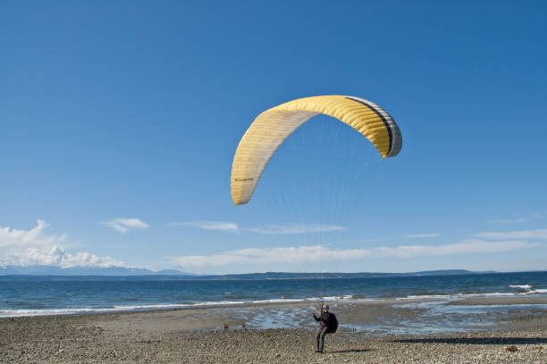 Paraglider Landing on a Beach Seattle, Washington, USA - April 13, 2012: A young man brings his paraglider in for a landing on the beach at Golden Gardens Park. jeff goulden paragliding stock pictures, royalty-free photos & images