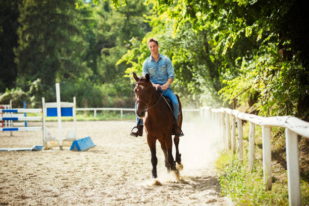 young man enjoying horseback riding in nature. - smiling earth horse bildbanksfoton och bilder