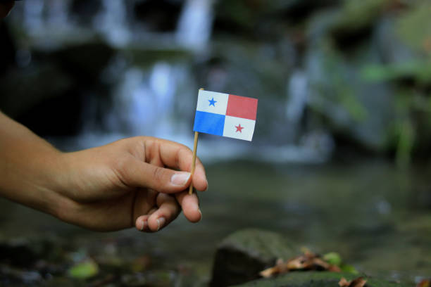 Young man holds national flag of Panama on wooden stick. Teenager gives respect to nation state of Republic of Panama. Stream and beauty of nature in background. Concept of omniscience and prosperity stock photo