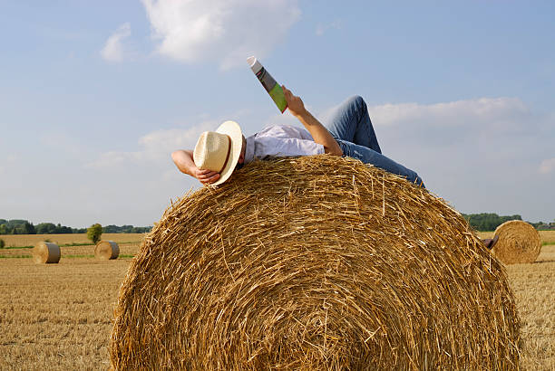 young man reading on a straw bale stock photo