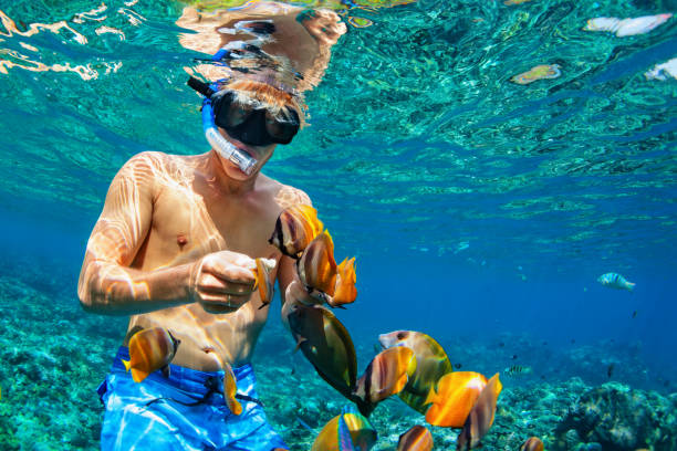 Young man snorkeling with coral reef fishes Happy family vacation - man in snorkeling mask dive underwater with tropical fishes in coral reef sea pool. Travel lifestyle, water sport outdoor adventure, swimming lessons on summer beach holiday snorkeling stock pictures, royalty-free photos & images