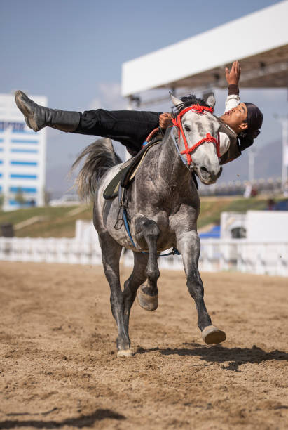 ung man trick rider en häst - smiling earth horse bildbanksfoton och bilder