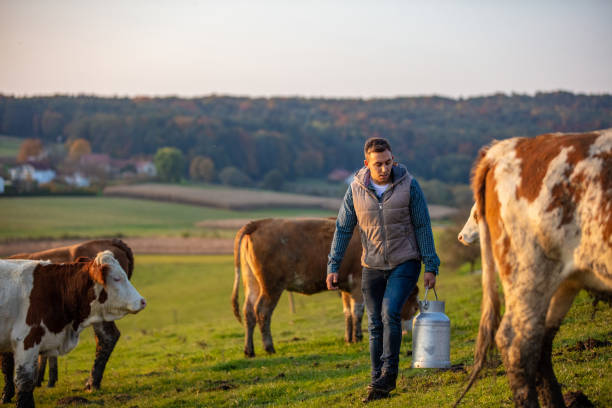 Young man walking with milk canister in his hand Young male farmer carrying milk canister at dairy farm rancher stock pictures, royalty-free photos & images