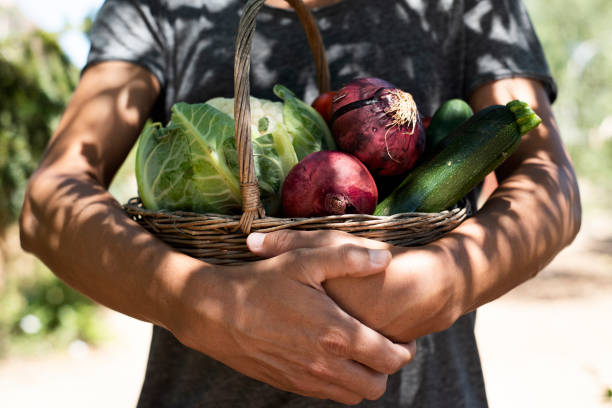 young man with a basket full of vegetables closeup of a young caucasian man with a rustic basket full of vegetables freshly collected in an organic orchard urban garden stock pictures, royalty-free photos & images